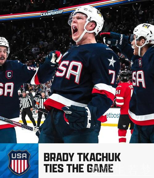 季后赛对决：雪崩迎战星队